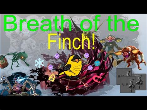 finch botw.